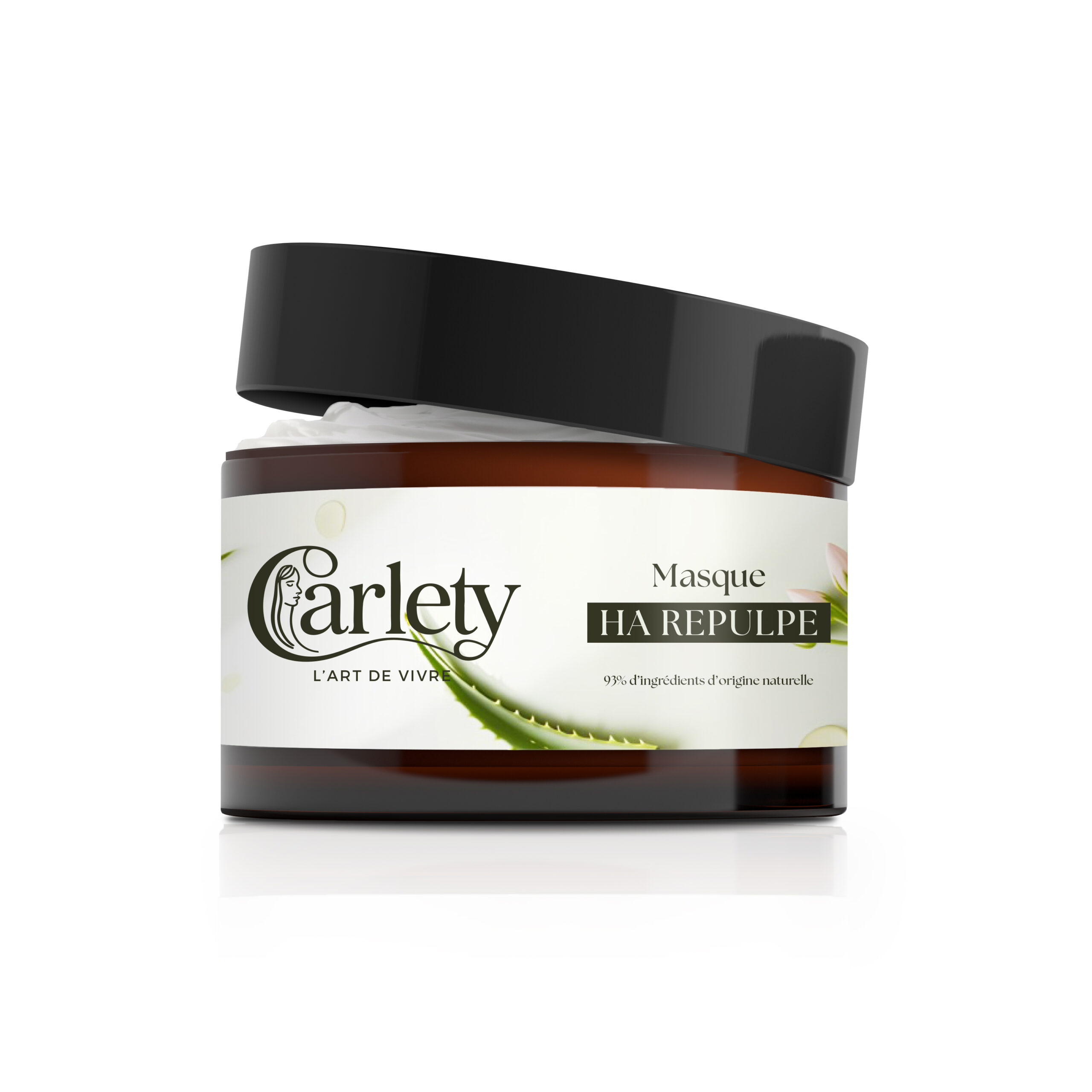 Carlety Le Masque HA Repulpe